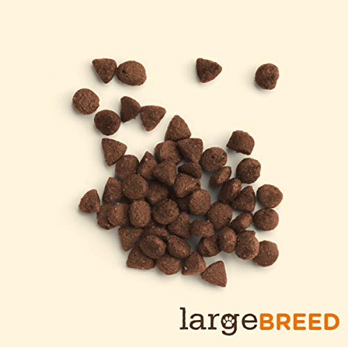 Large Breed Real Chicken & Veggies Recipe Dry Dog Food, 40 Pounds