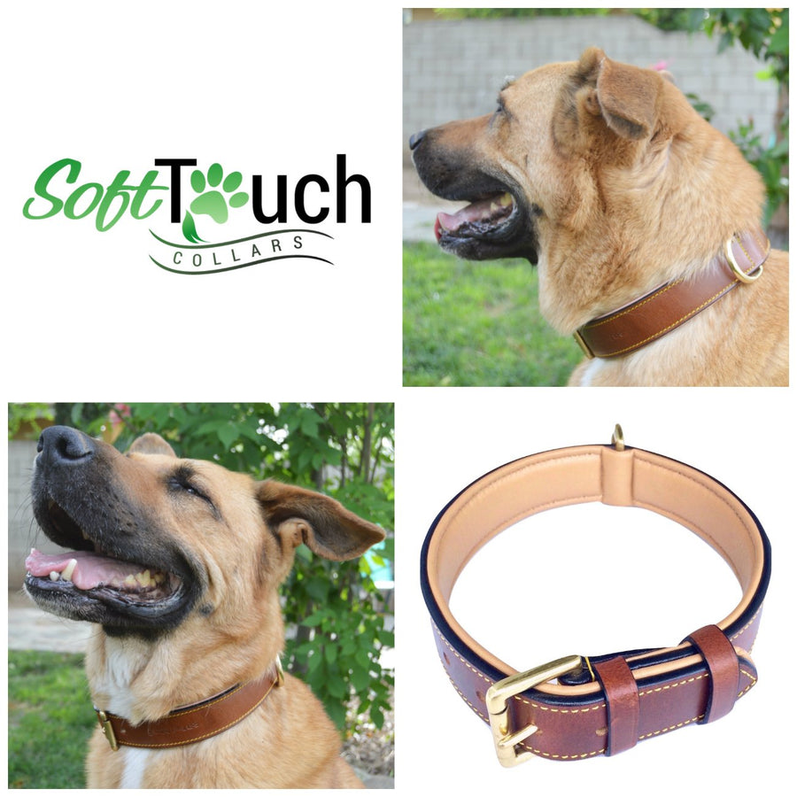 Soft Touch Collars Luxury Real Leather Padded Dog Collar