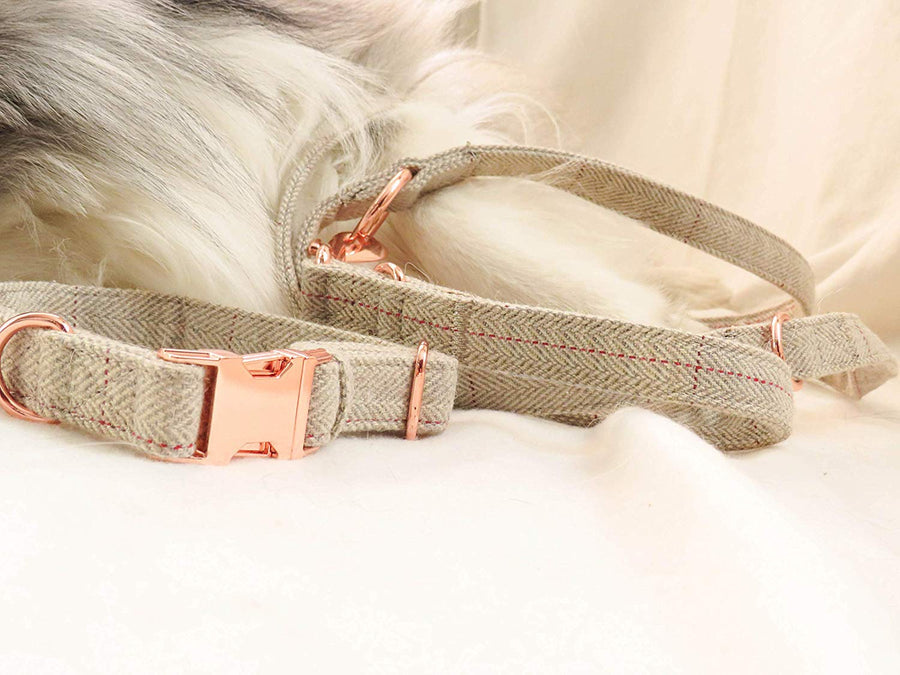 Dog Collar and Leash  Stylish Design with Rose Gold Set