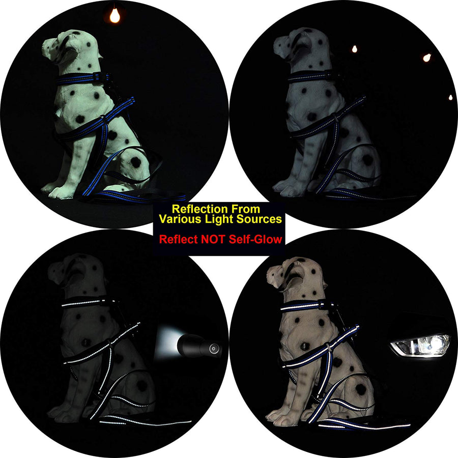 Mile High Life Night Reflective Double Bands Nylon Dog Collar